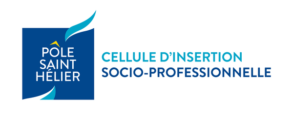 Cellule d’insertion socio-professionnelle